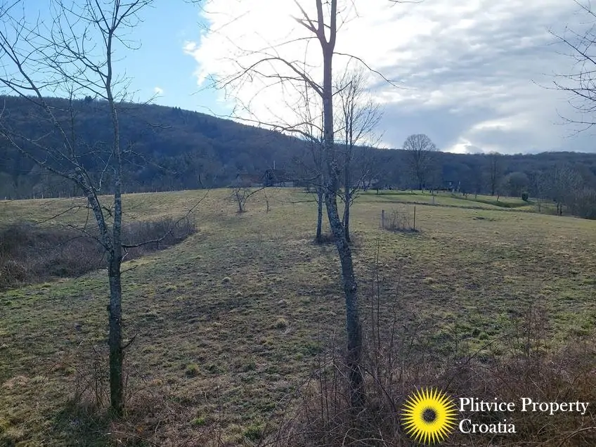 Flow_IMG_20260217_145000_01_011