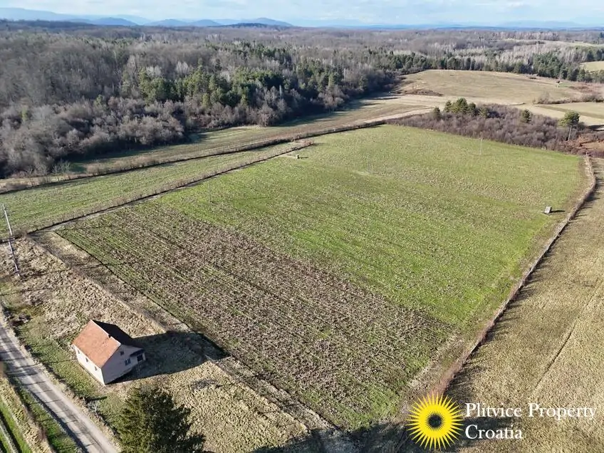 dji_fly_20260130_143218_0552_1770017847520_photo