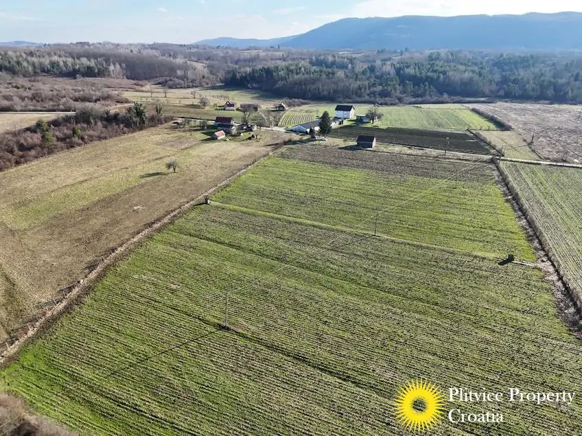 dji_fly_20260130_143316_0553_1770017846996_photo