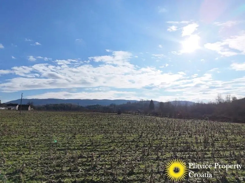 dji_fly_20260130_143338_0555_1770017846085_photo