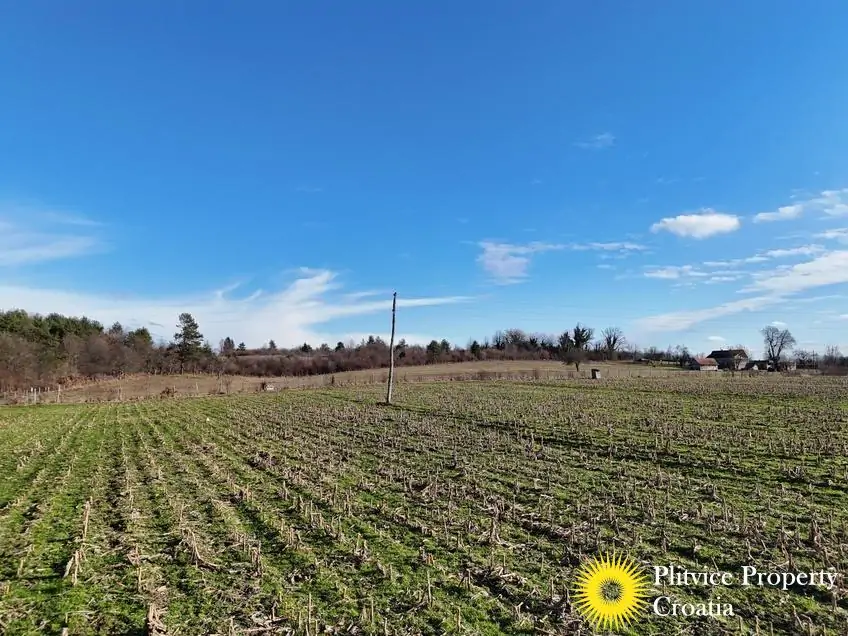 dji_fly_20260130_143344_0556_1770017845694_photo