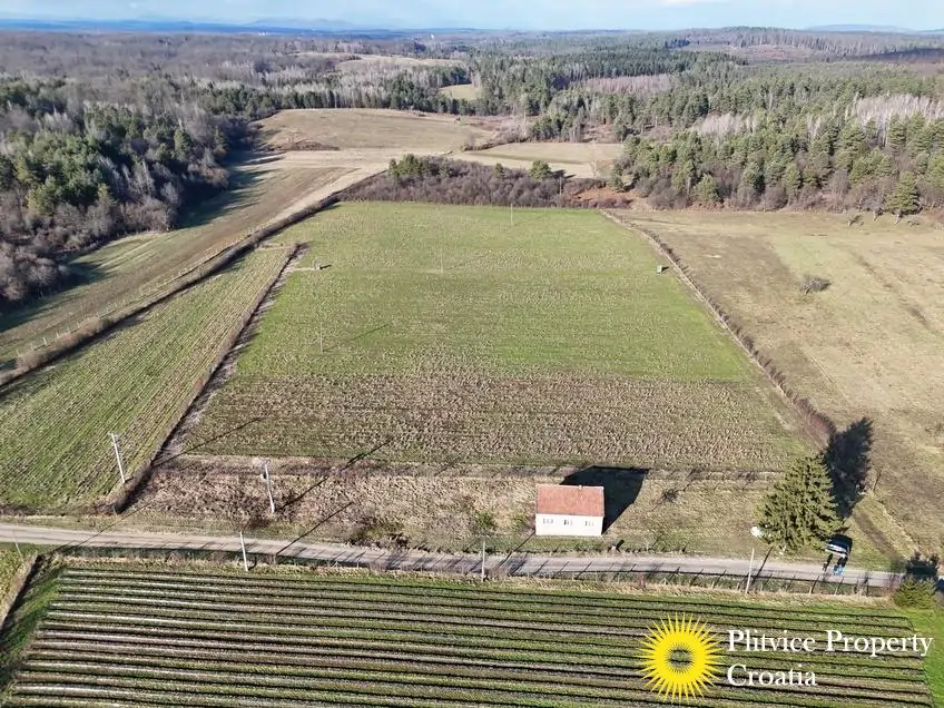 dji_fly_20260130_143514_0560_1770017844100_photo