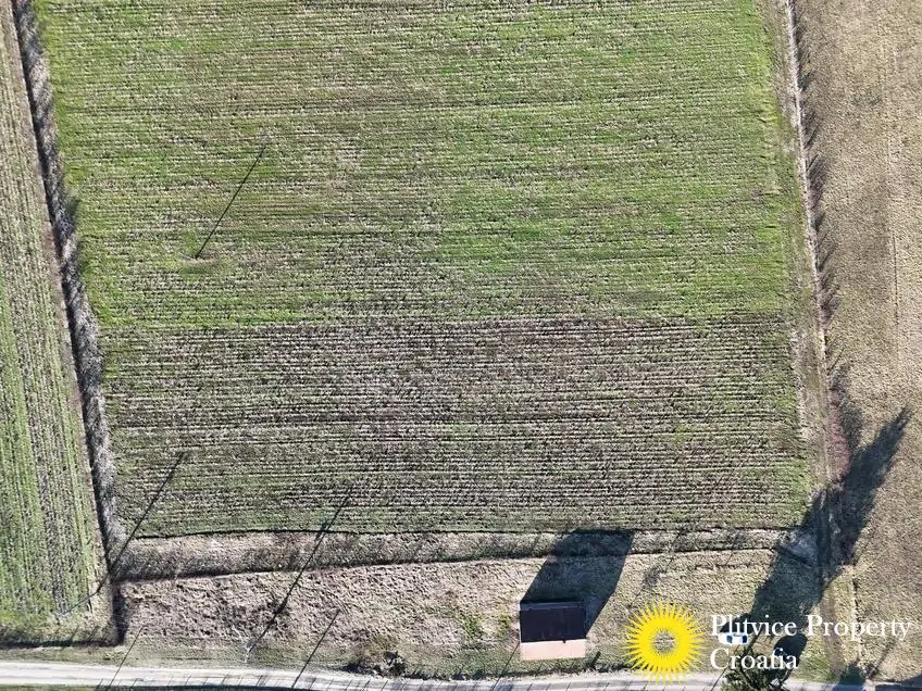 dji_fly_20260130_143554_0561_1770017843602_photo