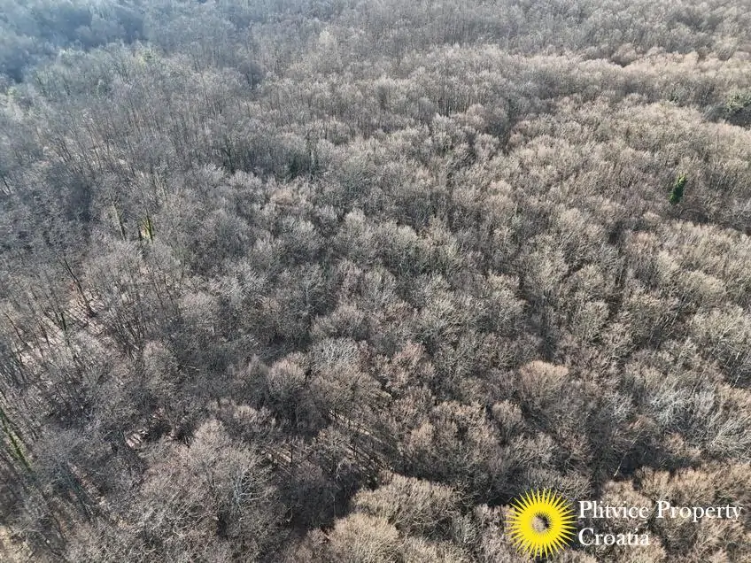 dji_fly_20260130_150654_0567_1770017834218_photo