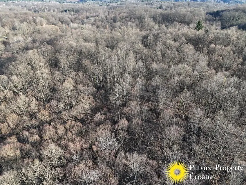 dji_fly_20260130_150708_0568_1770017833741_photo