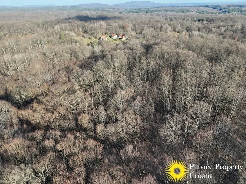 dji_fly_20260130_150726_0569_1770017833196_photo