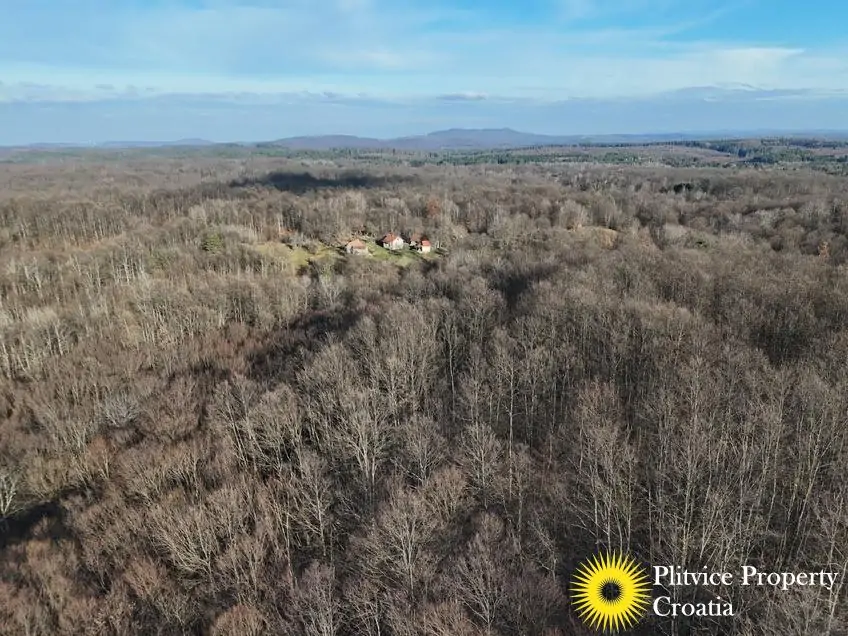 dji_fly_20260130_150730_0570_1770017832749_photo