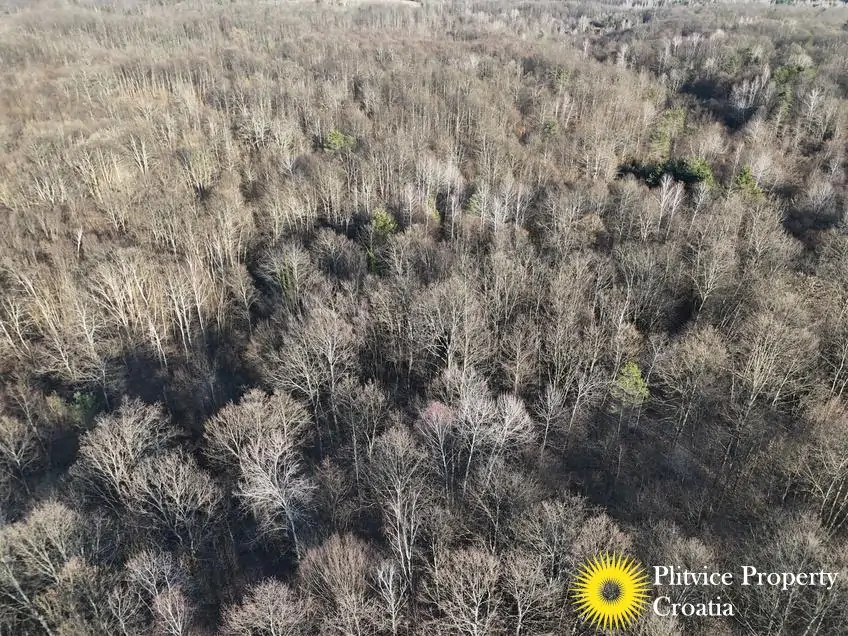 dji_fly_20260130_150830_0571_1770017832335_photo