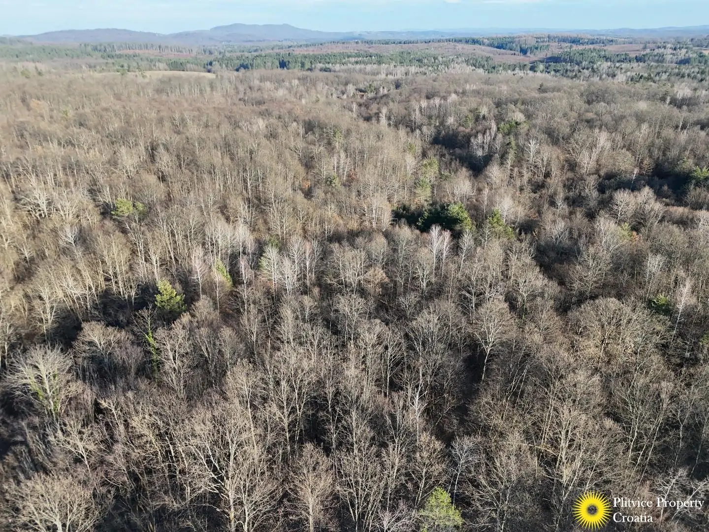 dji_fly_20260130_150836_0572_1770017831814_photo