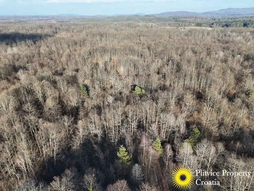 dji_fly_20260130_150844_0573_1770017831351_photo