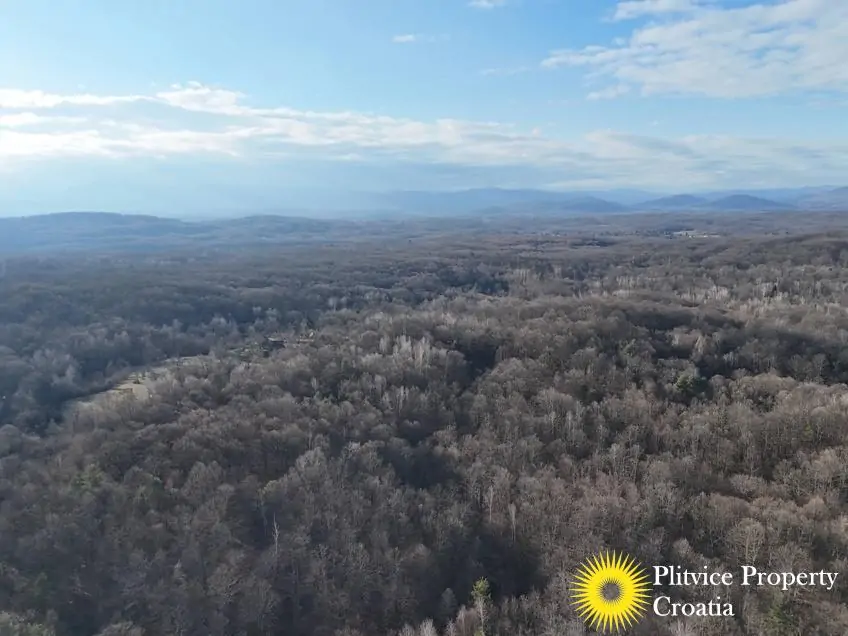 dji_fly_20260130_150942_0574_1770017830858_photo