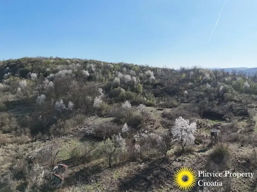 dji_fly_20260407_165532_0642_1775654084935_photo