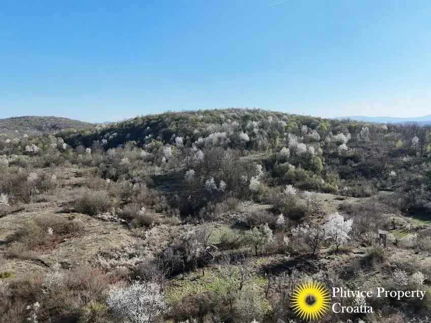 dji_fly_20260407_165552_0644_1775654084164_photo