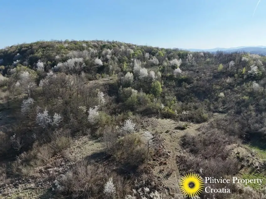 dji_fly_20260407_165602_0645_1775654084080_photo