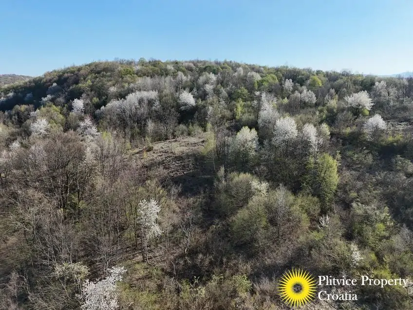 dji_fly_20260407_165610_0646_1775654083392_photo