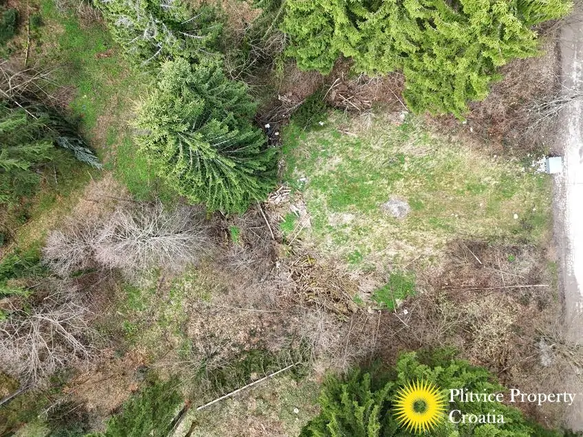 dji_fly_20260416_125352_0707_1776346065957_photo