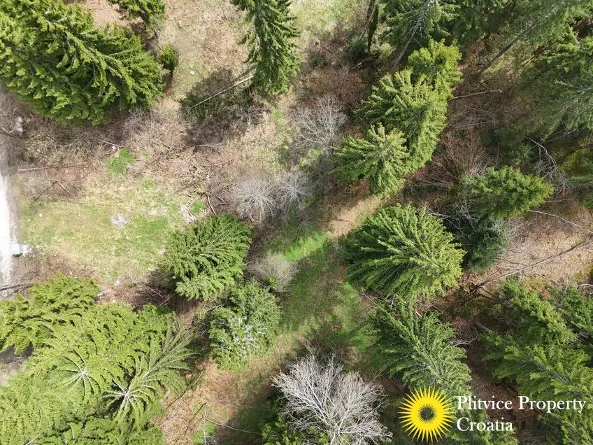 dji_fly_20260416_125658_0715_1776346062352_photo