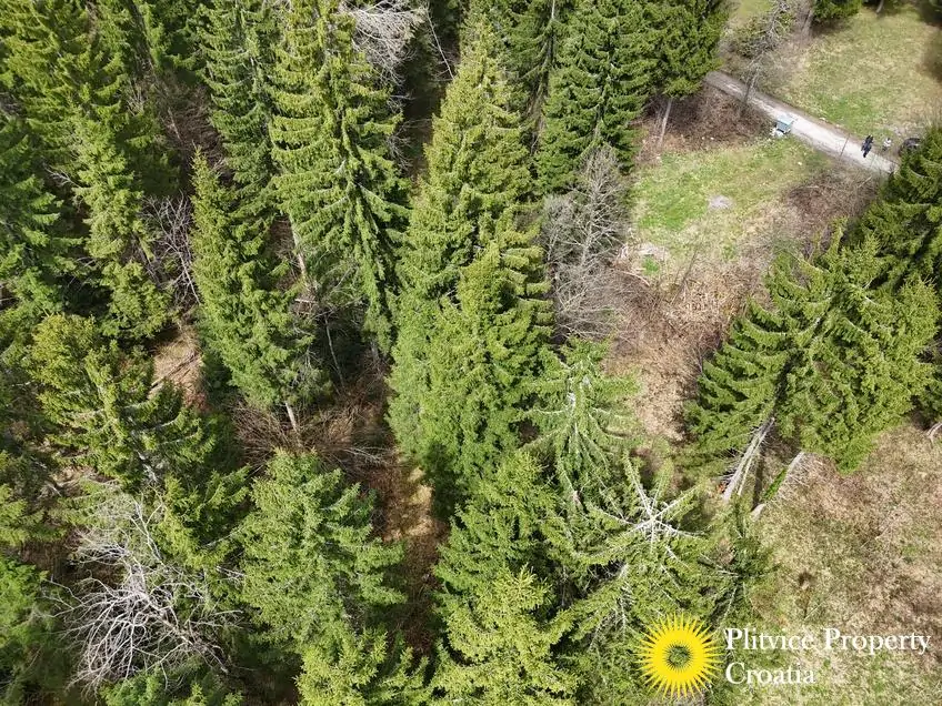 dji_fly_20260416_125814_0718_1776346060425_photo