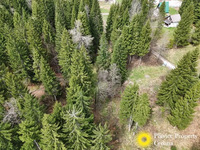 dji_fly_20260416_125826_0719_1776346059863_photo