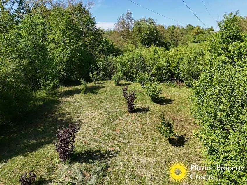 dji_fly_20260504_153244_0789_1777903264139_photo