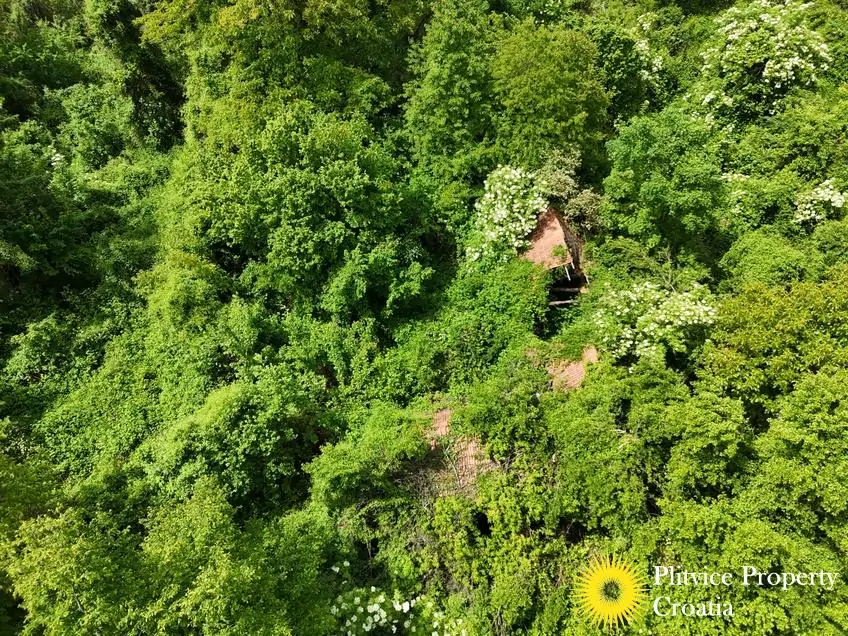 dji_fly_20260521_115444_0893_1779529804556_photo