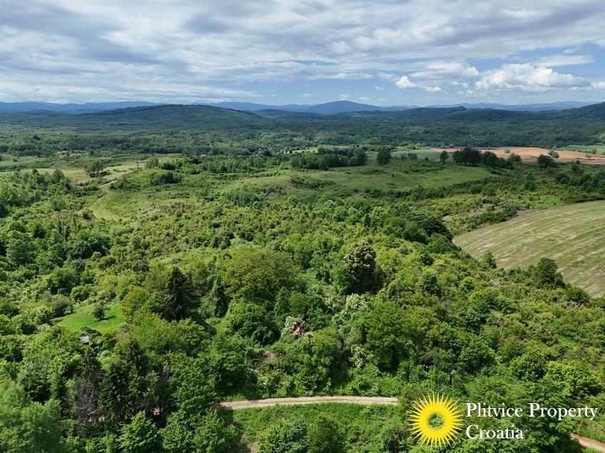 dji_fly_20260521_115500_0894_1779529803846_photo