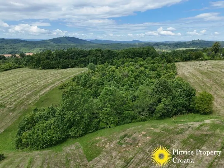 dji_fly_20260521_115538_0895_1779529803311_photo