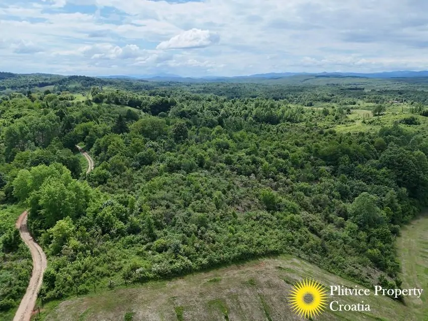dji_fly_20260521_115556_0896_1779529802789_photo