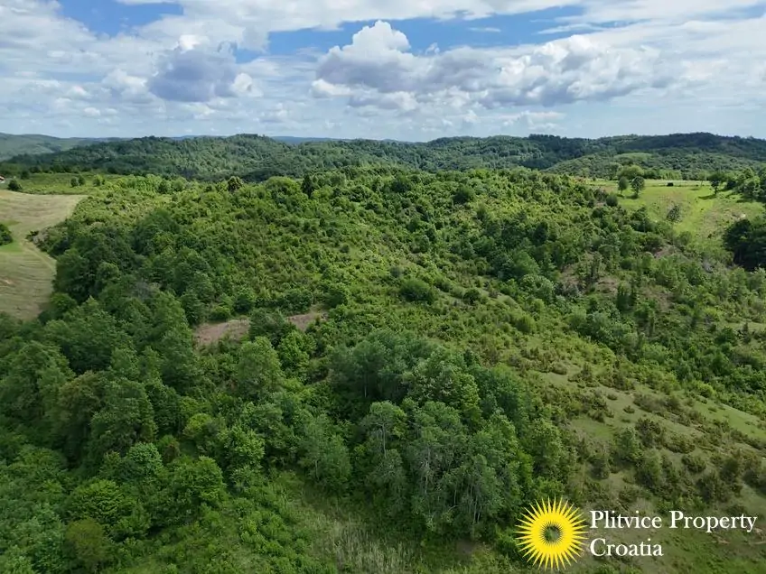 dji_fly_20260521_115650_0897_1779529802040_photo