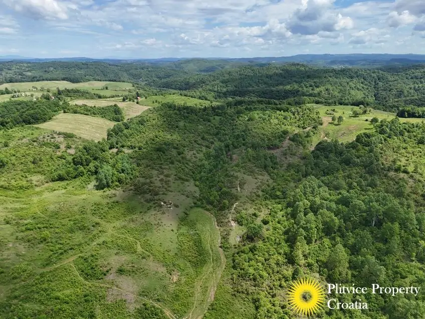 dji_fly_20260521_115818_0898_1779529801599_photo