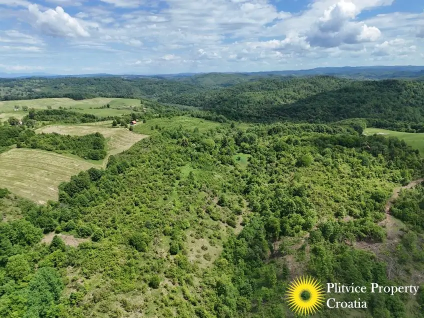 dji_fly_20260521_115856_0899_1779529801078_photo