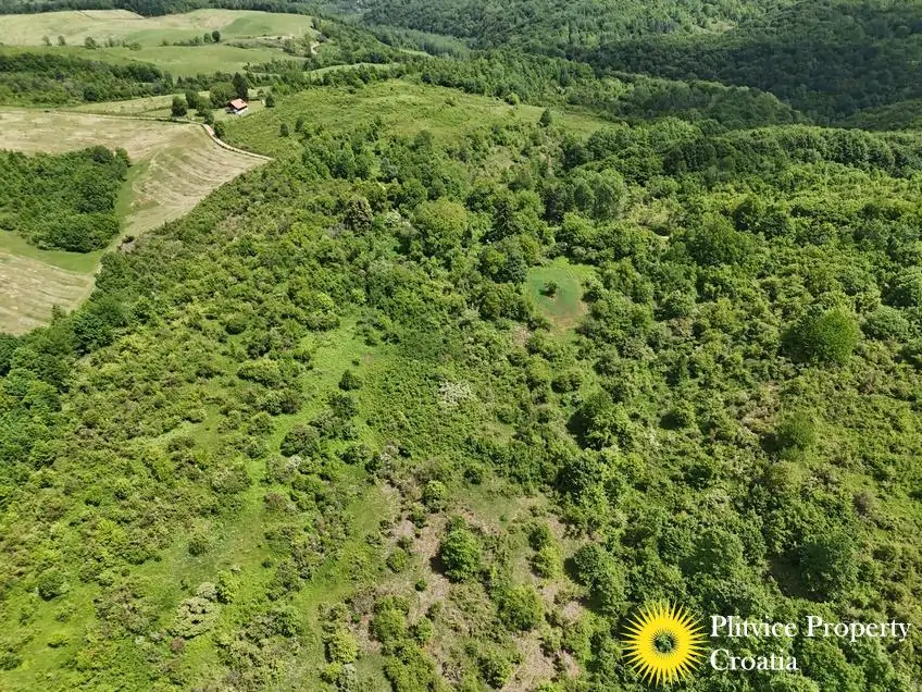 dji_fly_20260521_115918_0900_1779529800528_photo
