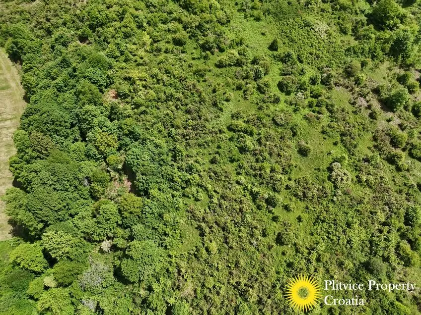 dji_fly_20260521_115950_0901_1779529799824_photo