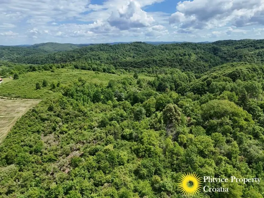 dji_fly_20260521_120046_0902_1779529799130_photo