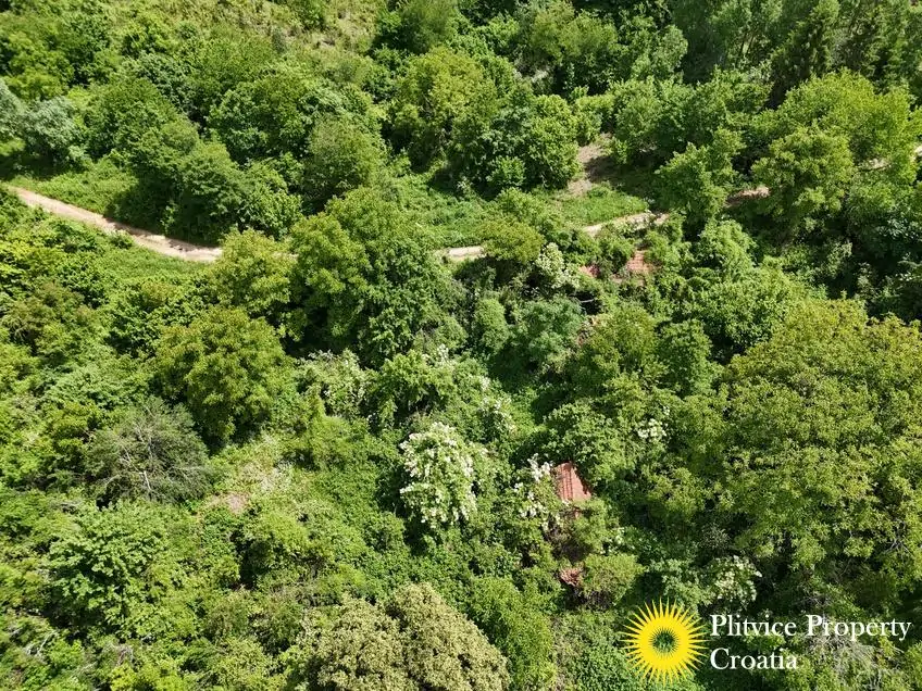 dji_fly_20260521_120058_0903_1779529798532_photo