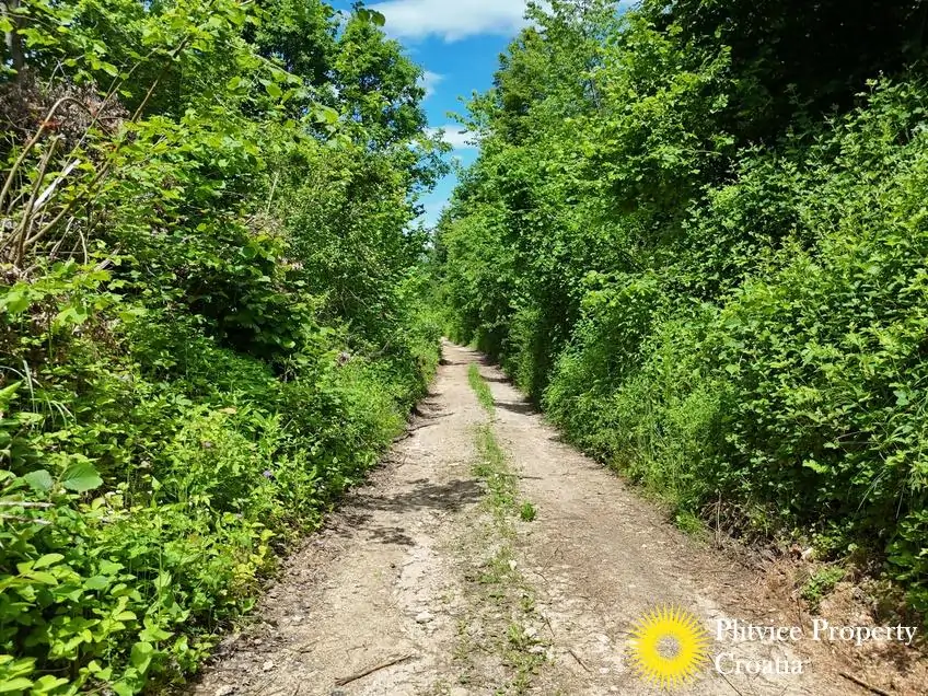 dji_fly_20260521_120716_0910_1779529768710_photo