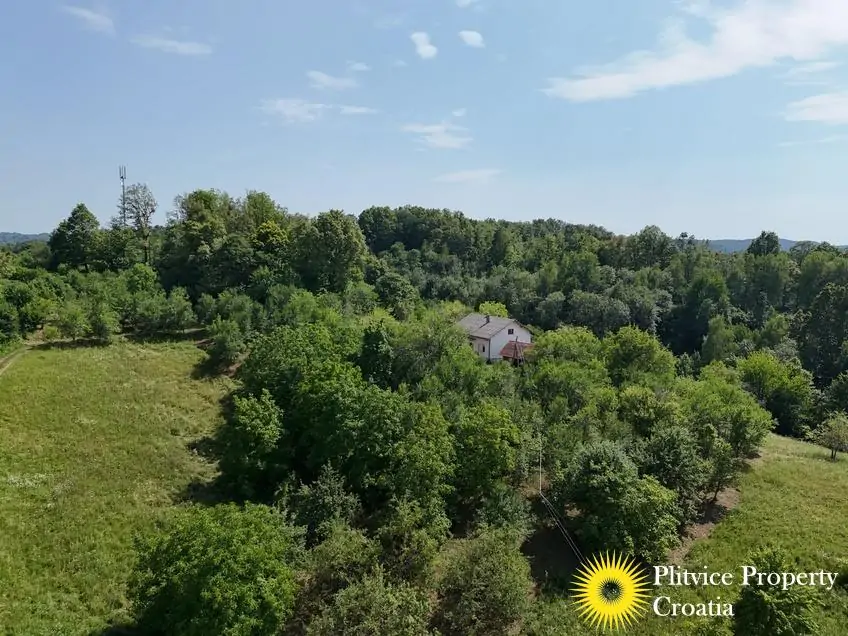 dji_fly_20260714_151506_0184_1784093457324_photo