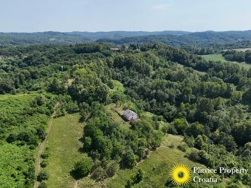 dji_fly_20260714_151542_0185_1784093456864_photo