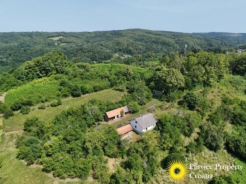 dji_fly_20260714_151606_0186_1784093456385_photo