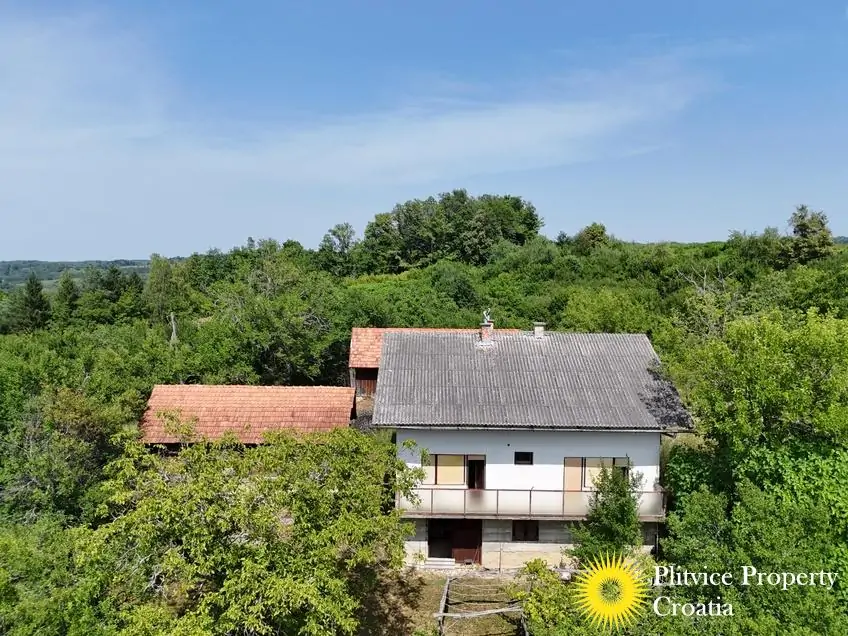 dji_fly_20260714_151642_0188_1784093455406_photo
