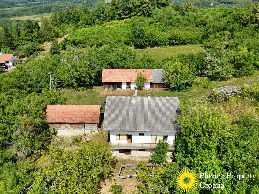 dji_fly_20260714_151708_0189_1784093455026_photo