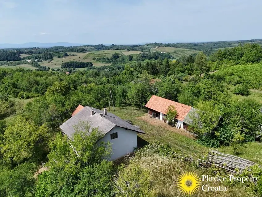 dji_fly_20260714_151730_0190_1784093454434_photo