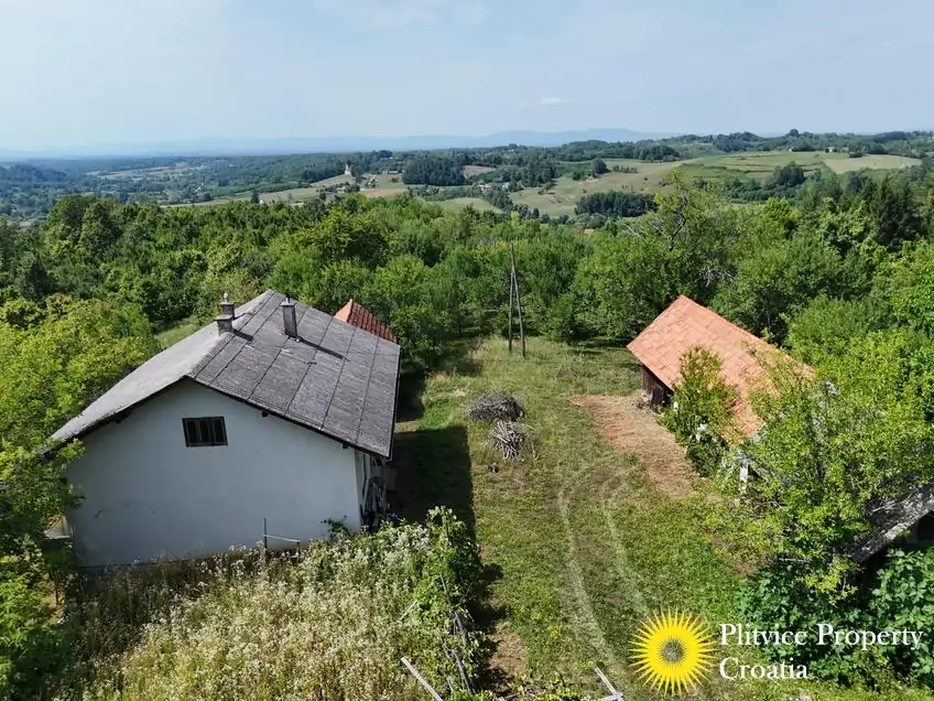 dji_fly_20260714_151742_0191_1784093454023_photo