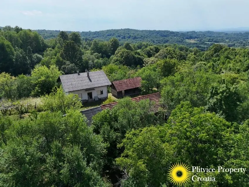 dji_fly_20260714_151846_0196_1784093452035_photo