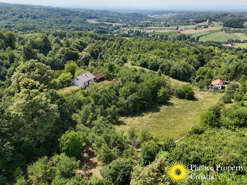 dji_fly_20260714_151936_0197_1784093451630_photo