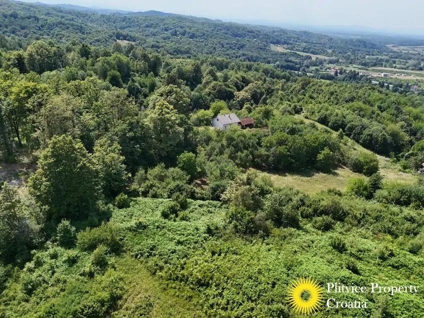 dji_fly_20260714_151958_0198_1784093451120_photo