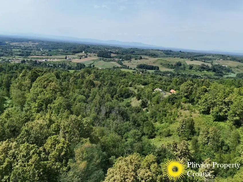 dji_fly_20260714_152044_0200_1784093450220_photo