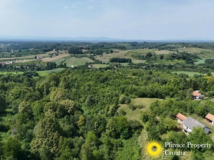 dji_fly_20260714_152118_0201_1784093449784_photo