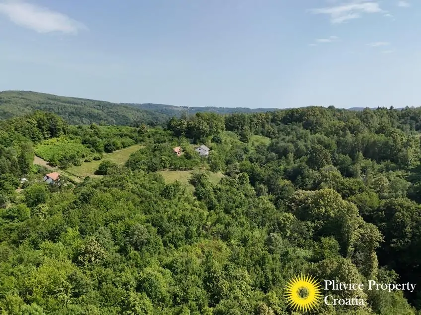 dji_fly_20260714_152200_0202_1784093449342_photo