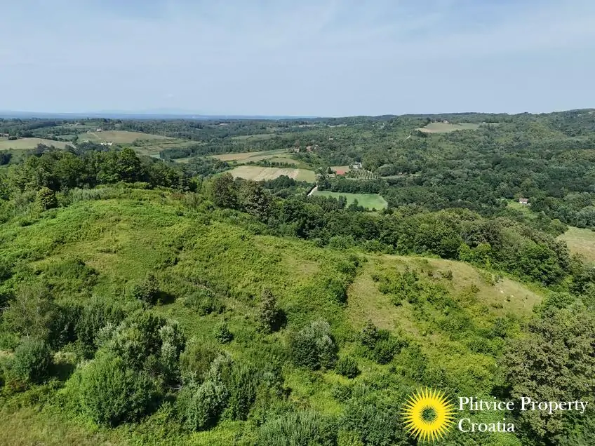 dji_fly_20260714_152324_0204_1784093444606_photo
